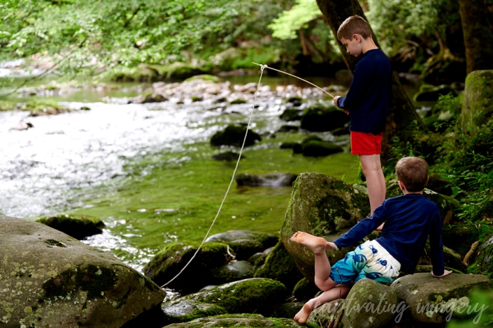 boys playing in creek