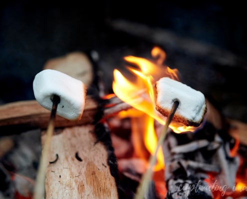 marshmallows over fire