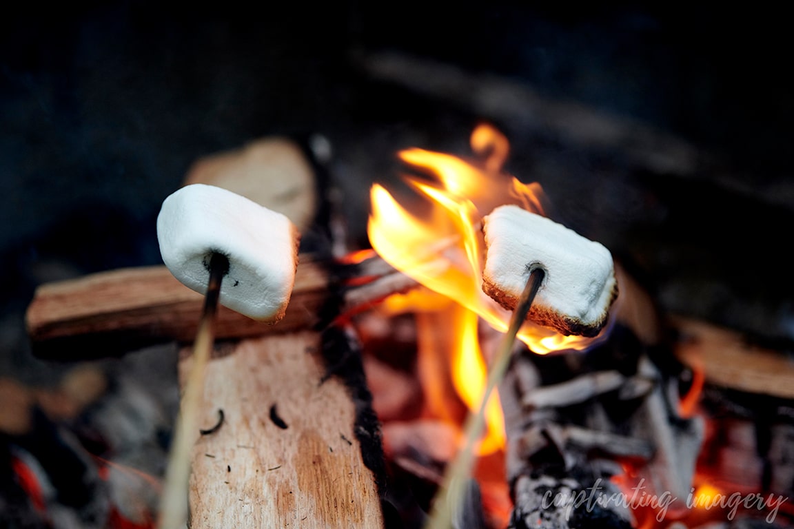 marshmallows over fire