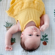 Look up baby portrait -