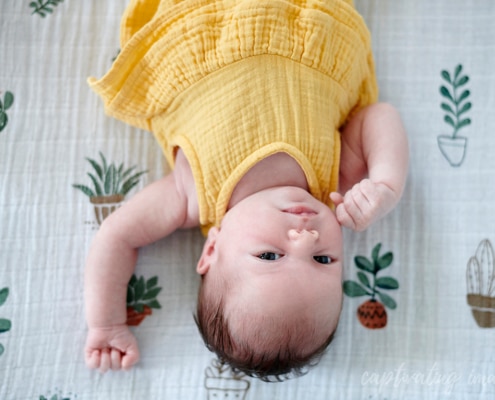 Look up baby portrait - Studio Newborn Family Session