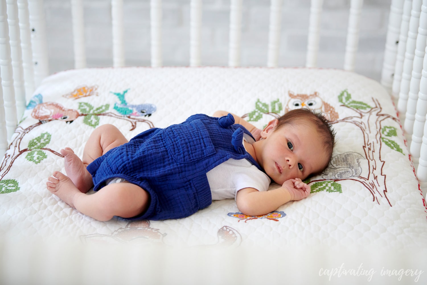 Cranberry newborn photographer - Cranberry Newborn Session