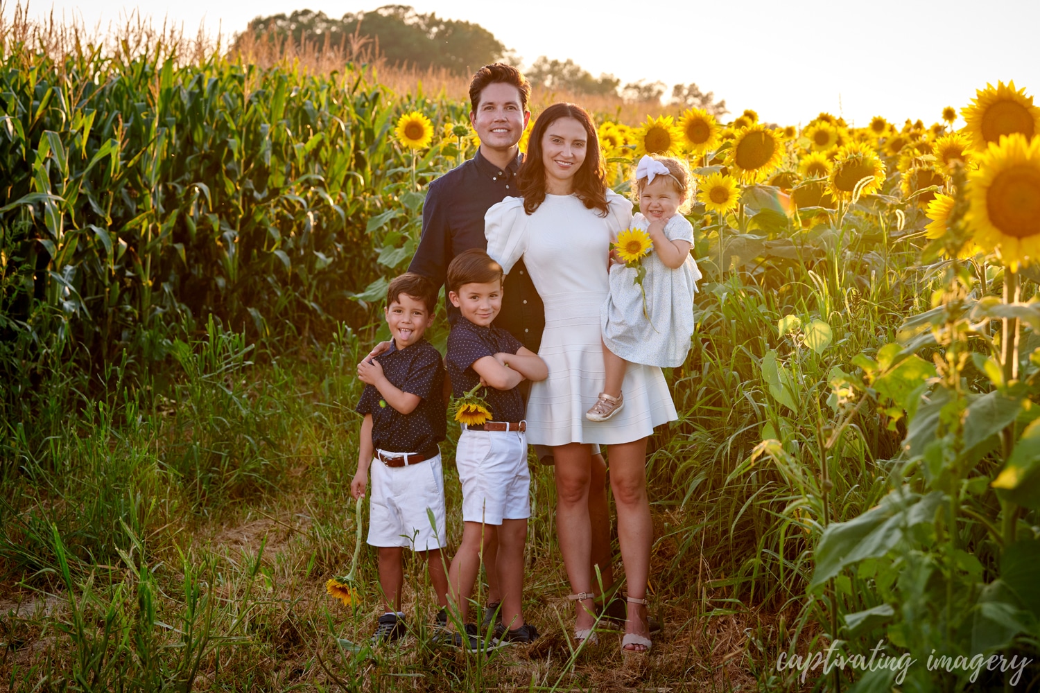 Captivating Imagery sunflower portraits - Now booking sunflower sessions for a limited time