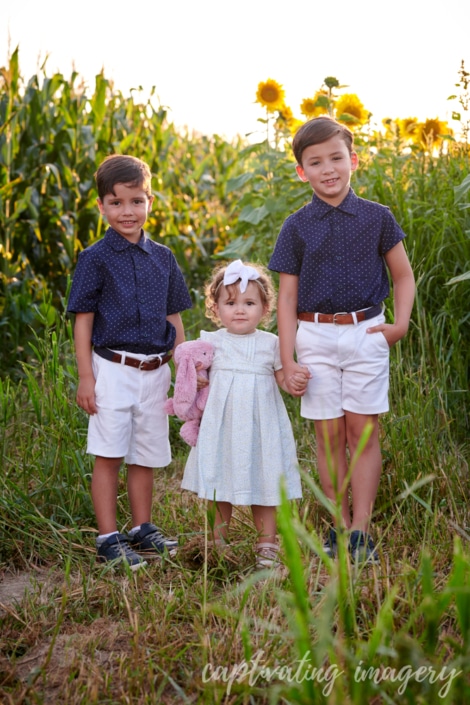 Cranberry sunflower portraits - Now booking sunflower sessions for a limited time