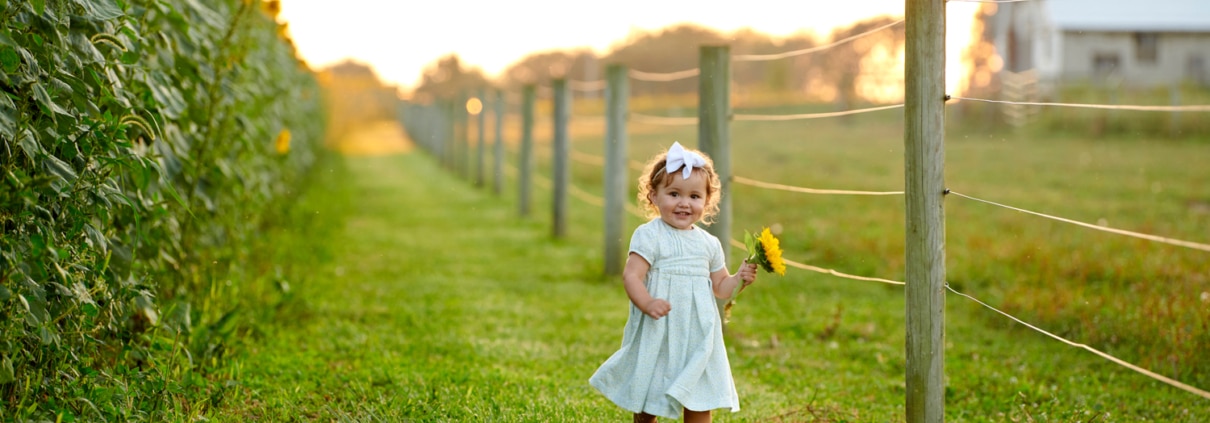 Pittsburgh sunflower photos - wexford family photography