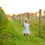 Pittsburgh sunflower photos - wexford family photography