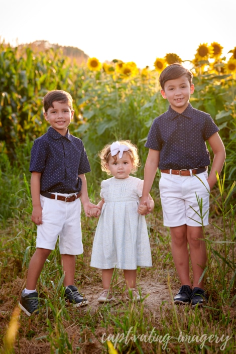 sibling sunflower portrait - Pittsburgh Sunflower Photos