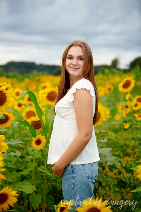 sunflower field portrait - Pittsburgh Sunflower Photos