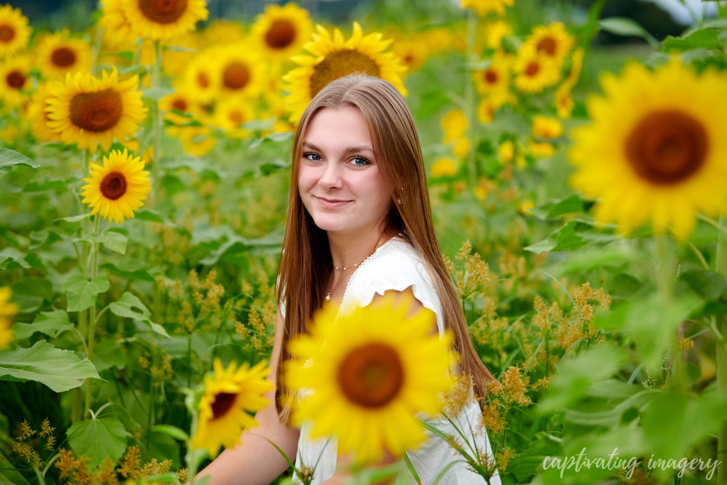 sunflower senior portraits - Pittsburgh Sunflower Photos