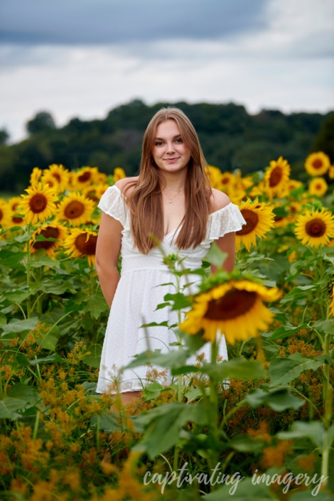 sunset sunflower photoshoot - Pittsburgh Sunflower Photos